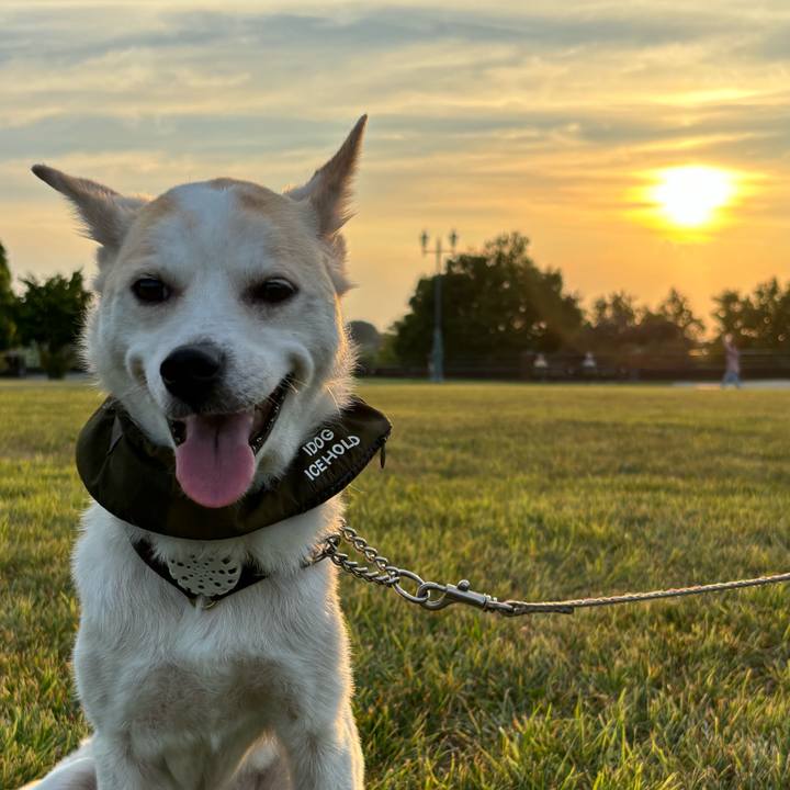 498be1a0 86e9 4a8e bed9 be32ab9a9570 1723378525797