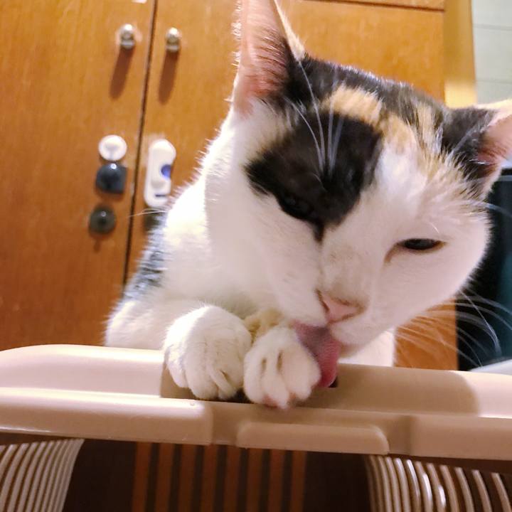 498bebb4 05b7 4c67 903b 759da230902b 1508029818973