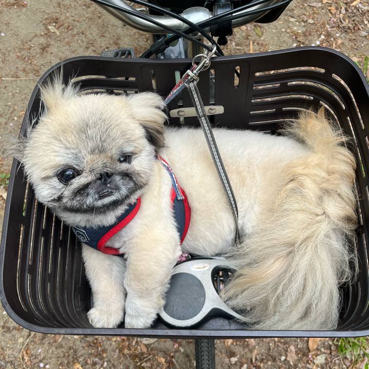 498bef57 0ce9 436f bb33 c67b8fc014f6 1745105123911