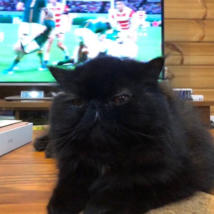 498bfee4 44d5 4165 9403 442f2fd403b5 1571573565217