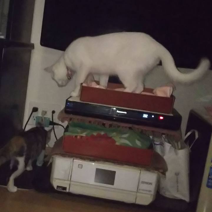 498c05d0 ef68 44e4 999f 8997064e69a7 1628276896979