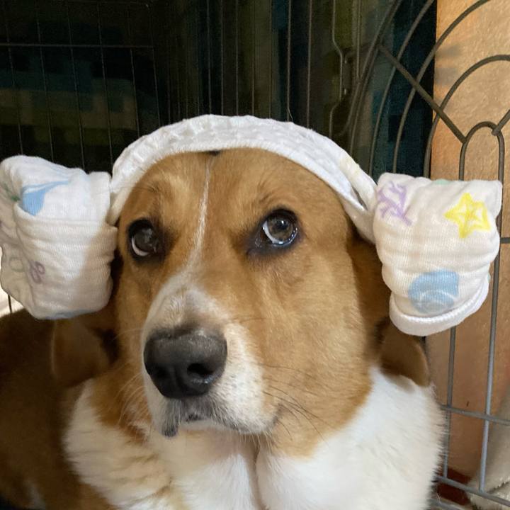 498c1312 6062 4ad6 8ca2 b7e88ad5c92b 1726277710149