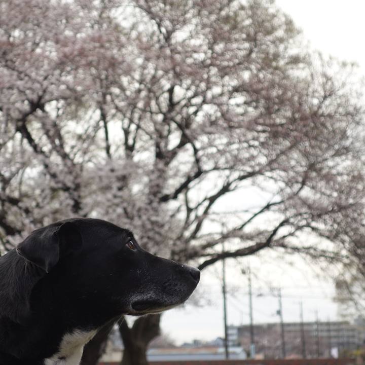 498c61b1 c8fb 468f b886 d4d92daa500d 1679356505374