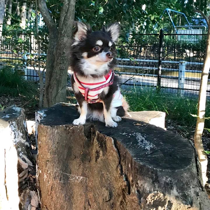 498cb448 8a11 456f 954a 61a2877f07ec 1538121394300