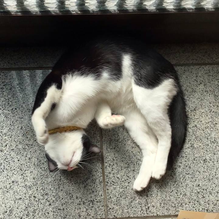 498cd017 151d 4748 8901 5a80a14ad338 1647484493193