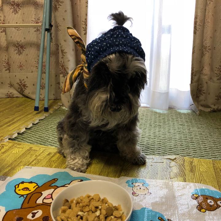 498d1b54 831e 4341 bea9 993345aa5f4f 1531615216300