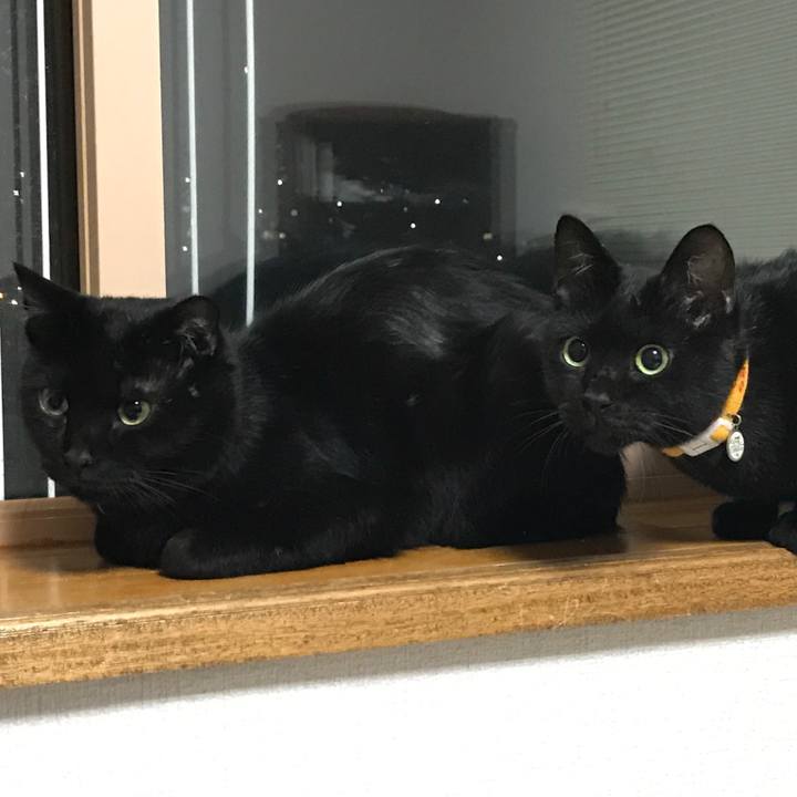 498d2ca9 2e73 4838 af6a 061697928a97 1566047453327