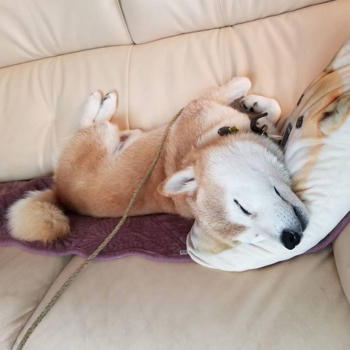 498d3e3a 69f5 4cd4 9623 5d2e3ebd2fc5 1660359333639