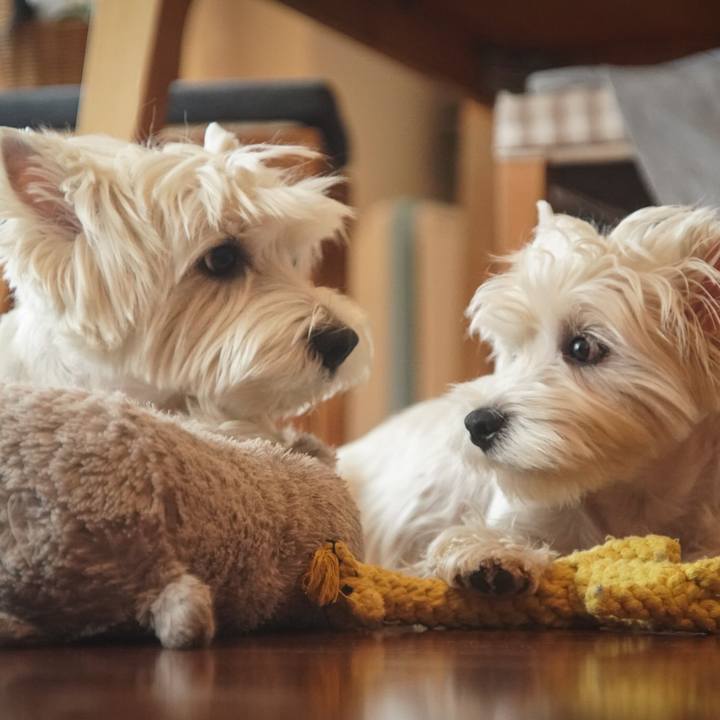 498d5948 ee9e 44fd b83b 7505bb32a7b1 1535113695274