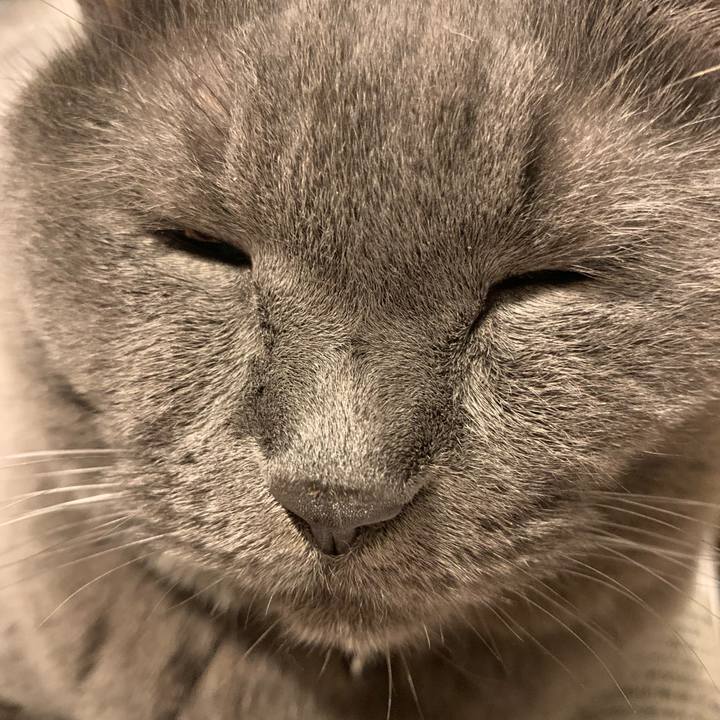 498da170 205e 401e 800e de775e777ac8 1763595064396