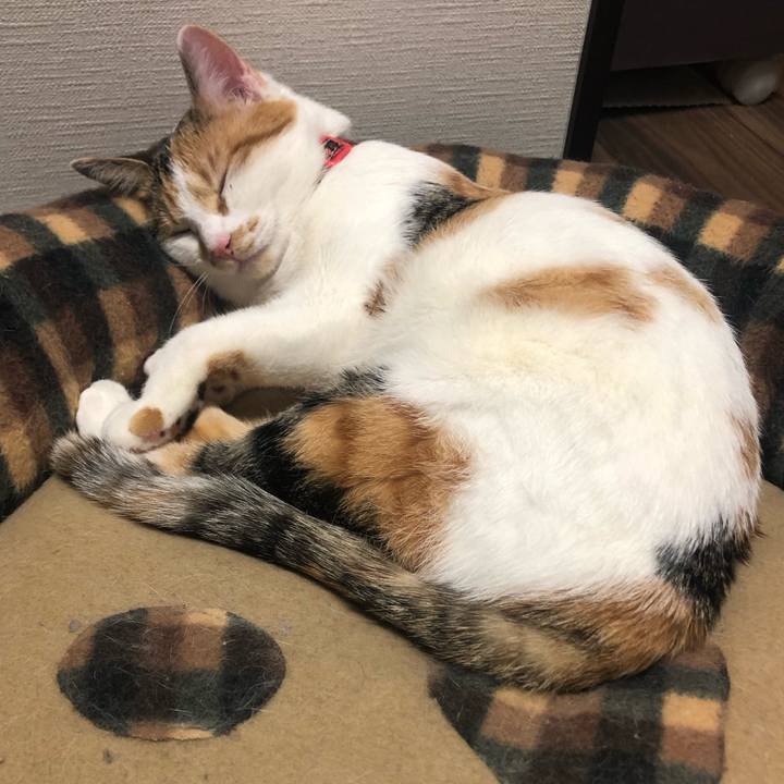 498dd81f 1bc1 435f 8f5b febb1fb5ad16 1576327219127