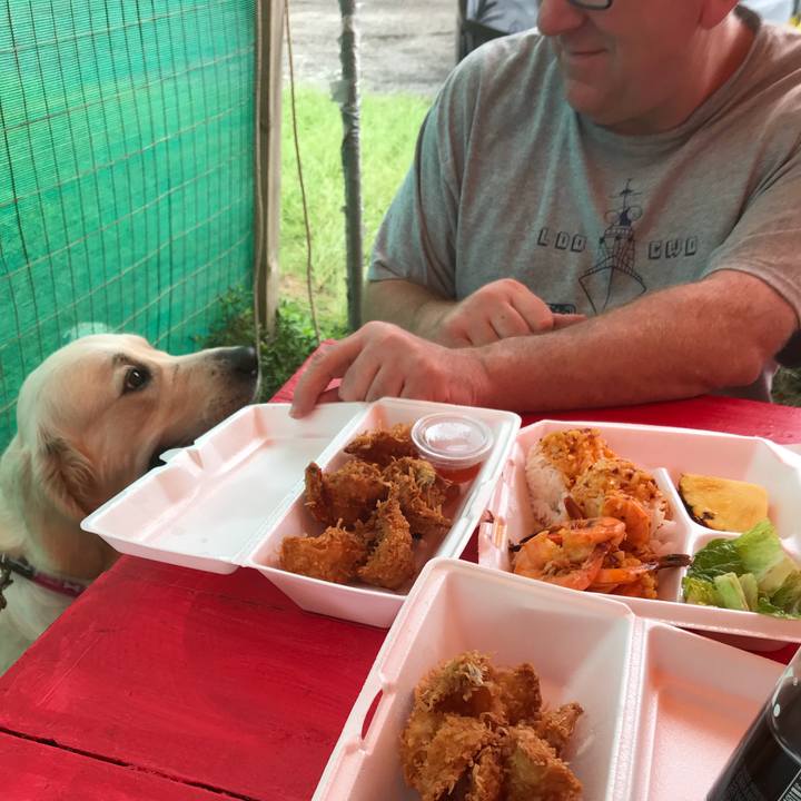 498df2f2 ef33 447f bdd3 87e589761838 1523863618970