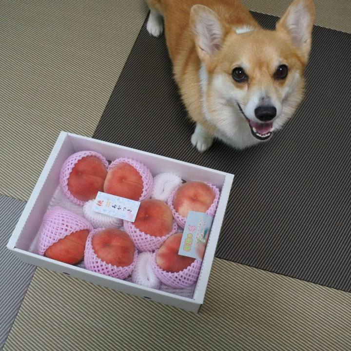 498e2a87 25e4 4fee b1ec 66d51ccc031b 1628430541412