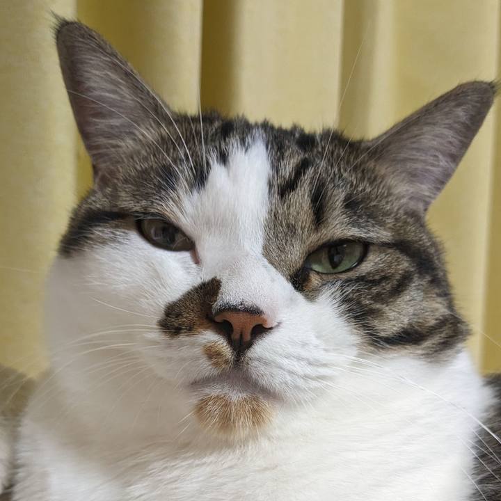 498e5613 4a63 45f7 8bc5 5deb3f036ec2 1693612277834