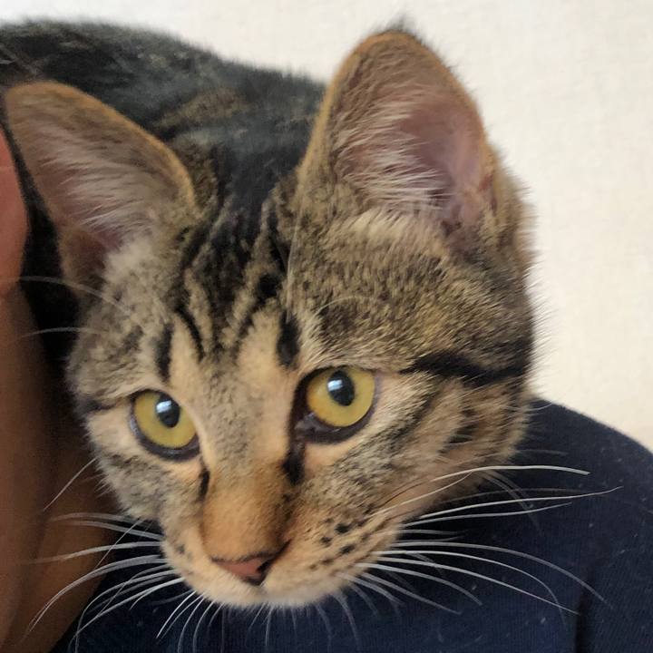 498ef1e7 cc57 4266 bc44 3179402a0fb3 1735513593524