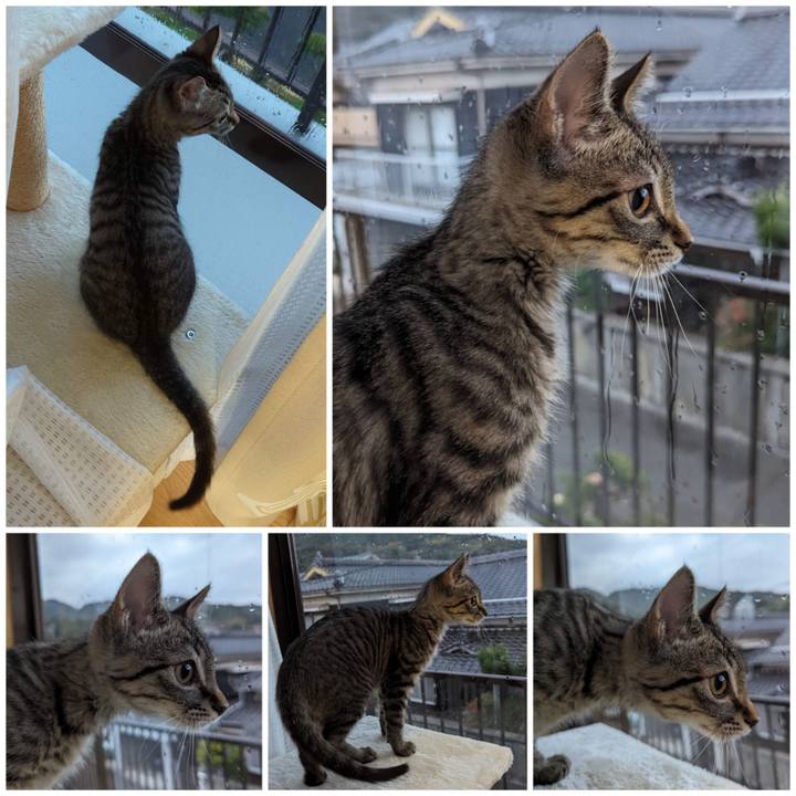 498ef6f7 3c73 4bdd 9a1c d712525e4d5b 1701588876633