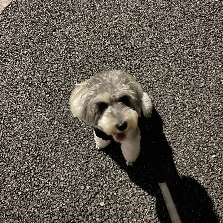 498f00bc f1fd 40aa bf1c 0194d21dd960 1629822468535