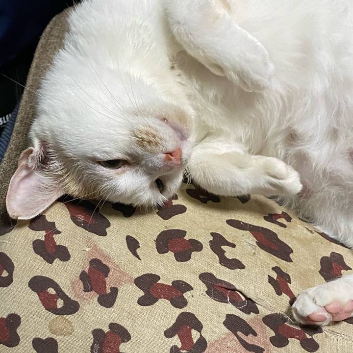 498f0bb2 1938 4be5 8093 6899c2b41573 1664893717724