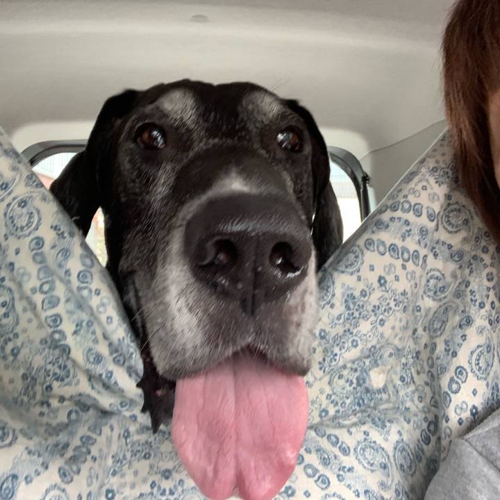 498f1438 1536 4b25 900b 79b09478857d 1561248819763