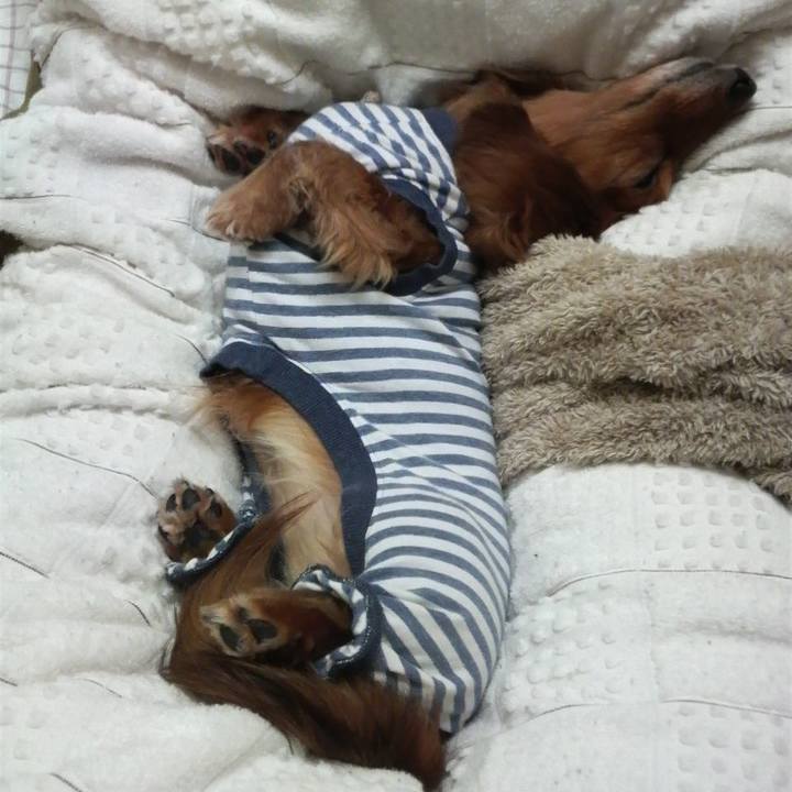 498f22e8 a5fa 43be 9f3c 1346add57b17 1553969030288