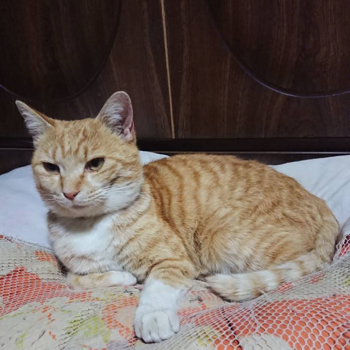 498f5457 8ae0 467e bdb1 5152a51b1fd3 1585831894339