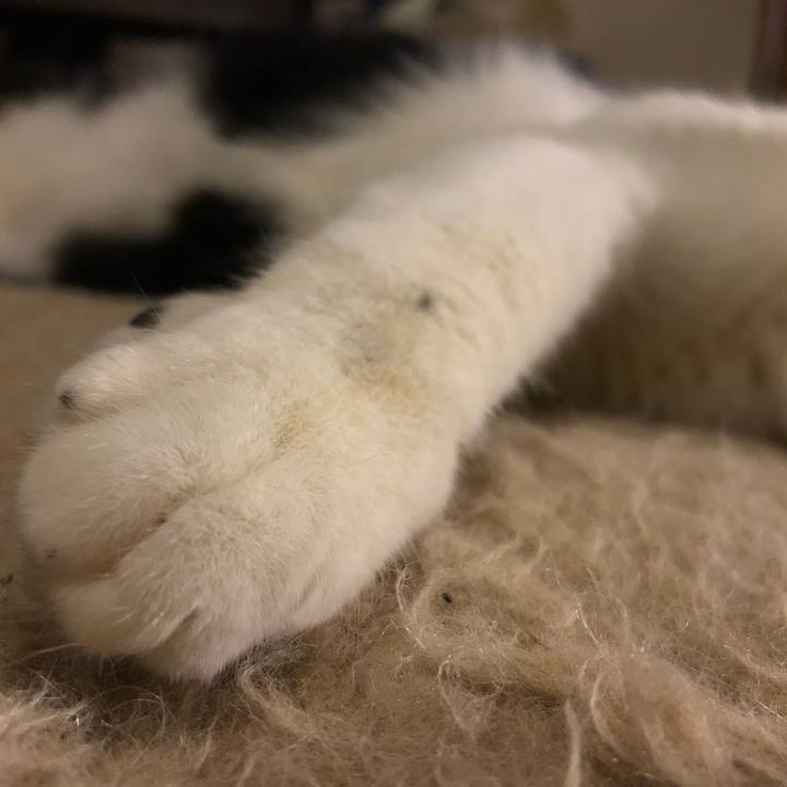 498f5ad9 d77c 4e07 89d1 aa371a8ec6fb 1547298451528