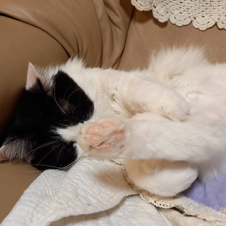 498f7223 8774 4597 82f4 2e0fd0f82e81 1611663707126