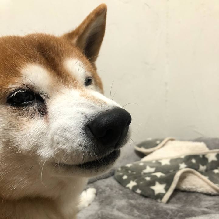 498f7d6b ad69 451f 8bfe 427f34b94852 1576536515108