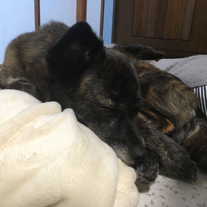 498fb557 ba5b 4c57 b774 5c35f0342422 1561371061645