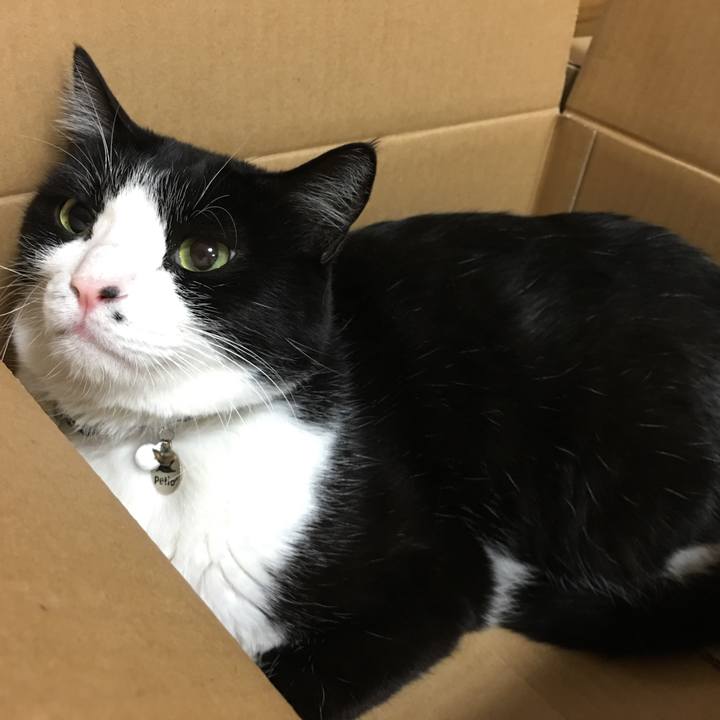 498fba02 a994 4b62 8de2 445d5d131e72 1519309667140