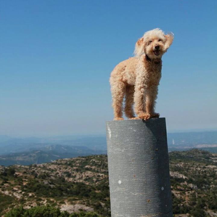 498fdd52 54b7 4e19 8096 d8871e90ce24 1594820884472