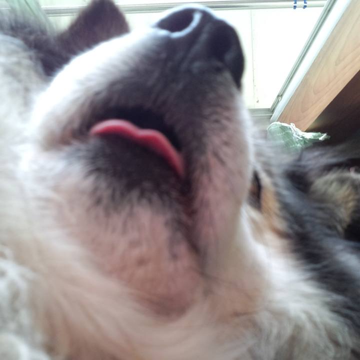 49900da5 b193 4db3 9920 1fc510e976a1 1551660472229