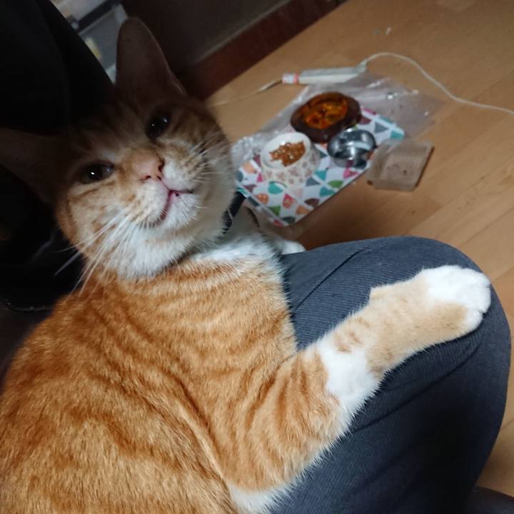 4990242f 2f4a 4a75 8c1a d72653f4478e 1601846957365