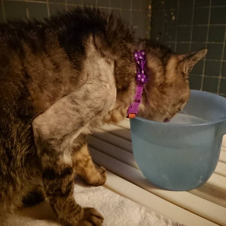 49908915 8d59 46db 9d35 bdf44d6e61d4 1591007320219