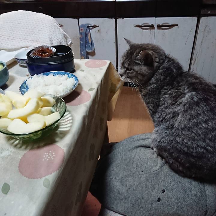 49908aef 56f5 4b20 939a 215716613c0f 1575409434802