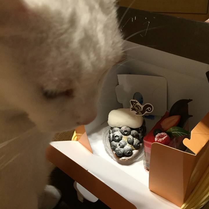 4990958c 91a3 484b 8d49 1d85636965e8 1551361229826