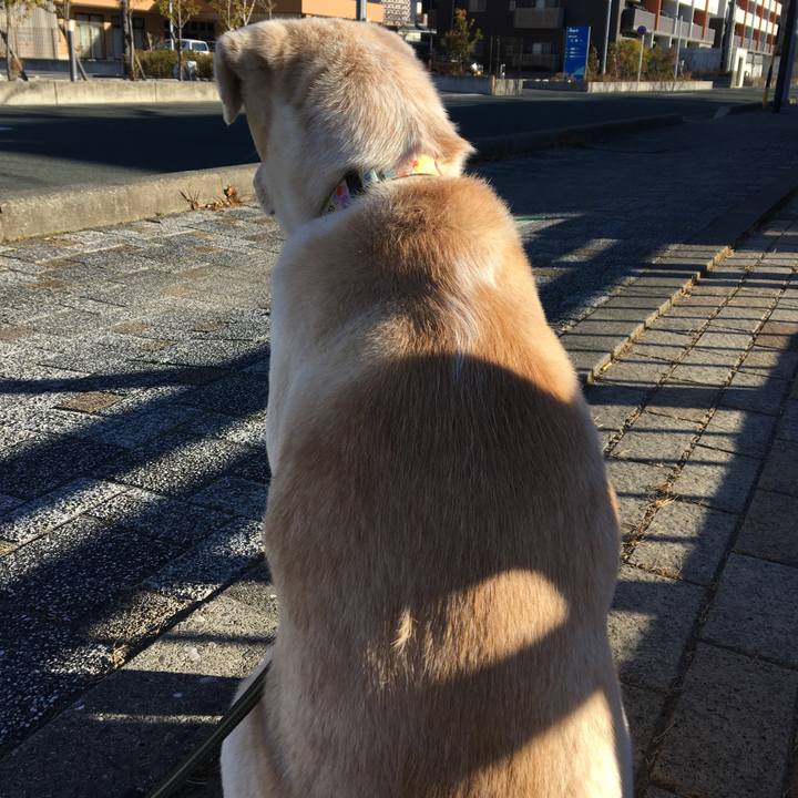 4990a410 0274 409c 8ab7 ef9f0a012afb 1515888535649