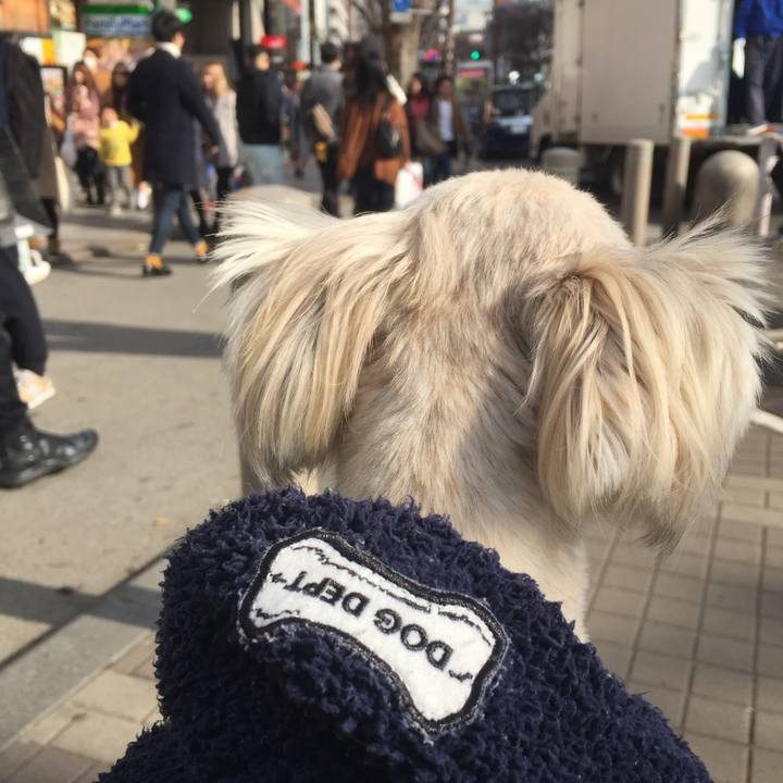 49912ade eed3 49ff 84c2 75fb67e1337d 1520068238119