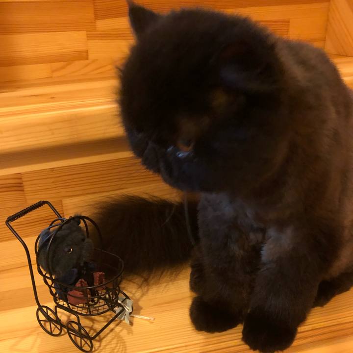 49912de8 b6a9 4b8d b438 2e56192b3dfc 1664710879265