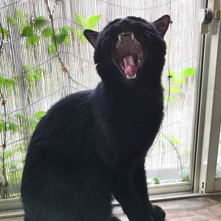 499148b5 1bfb 46aa a2c9 d26e3a1ce044 1536499271859