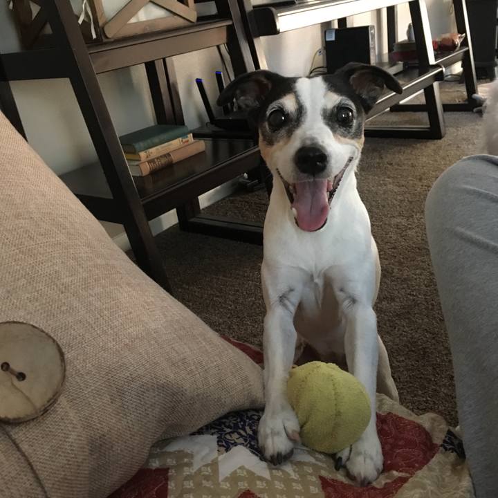 499155dc ff28 488e 8d75 7816c7e5db3e 1515103429416