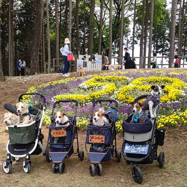 499188a3 9317 4636 800e b1ed279f3472 1682230565405