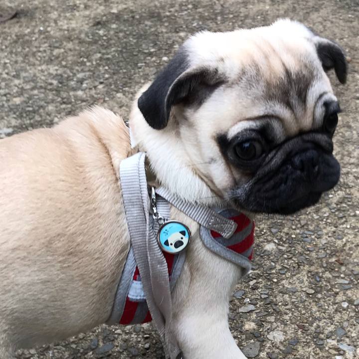 49918db2 2ed6 478e 9a82 ceaa46d70435 1538288149646