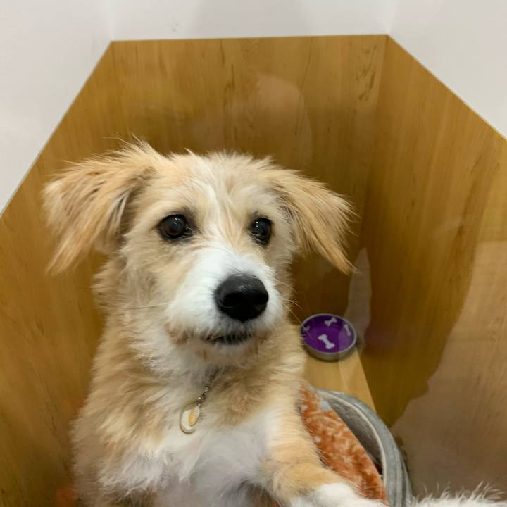 49919231 e6d6 4443 a3b9 556feef5ed0e 1576069907810