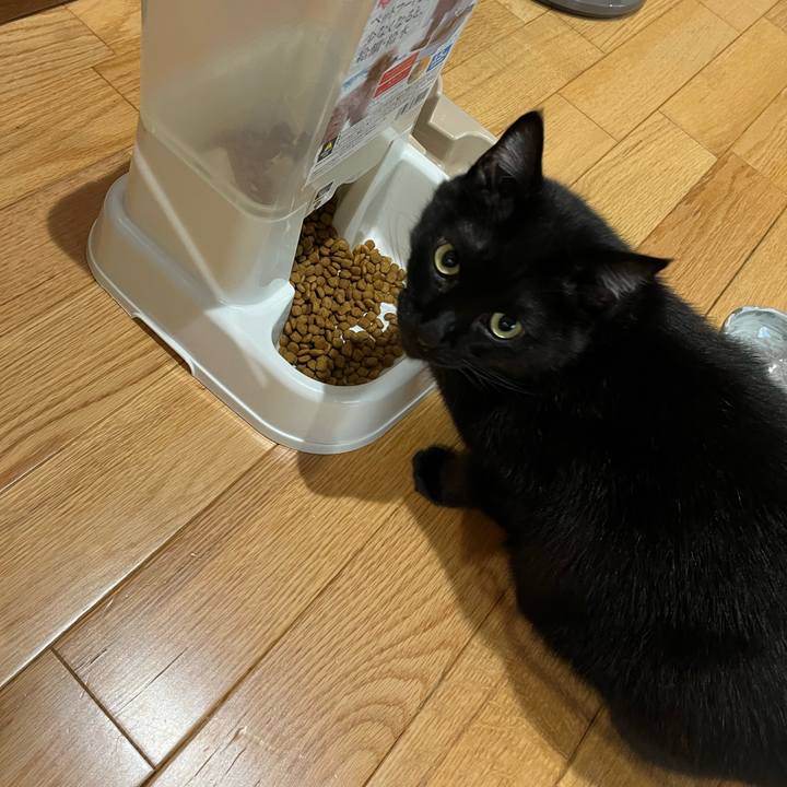 4991c44e ff1b 43f2 843f 66a470fb37fa 1732236624272