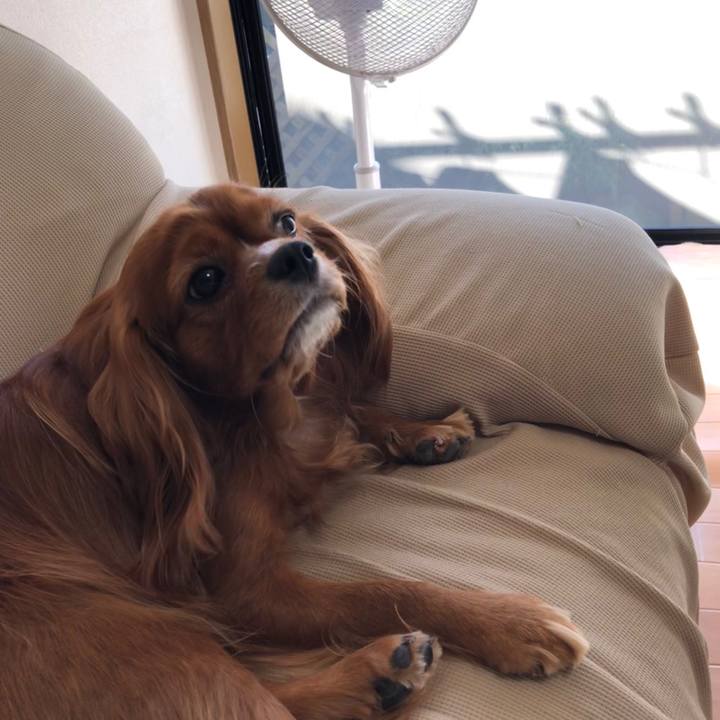 4991da6b 56e0 49be a03e 9f84e9e951bc 1597875801704