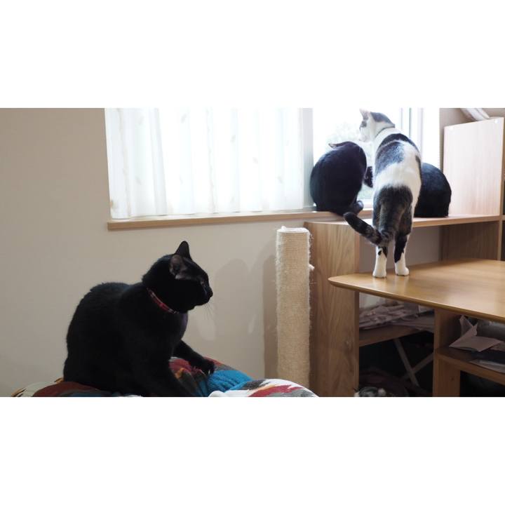 49920eab c53d 4337 9e07 7b6c3b0d5690 1542584862269