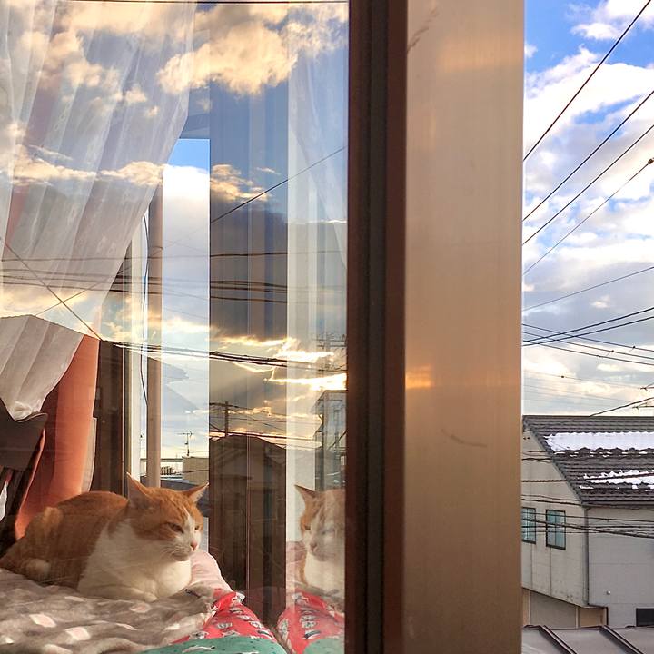 49921406 fe8c 4c48 8e9e f681c3ae769e 1610263885825