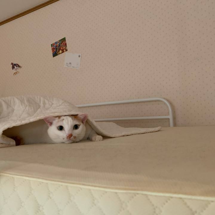 499252e9 67a0 4367 8e7a 8ac1d8fa1a71 1593725641635