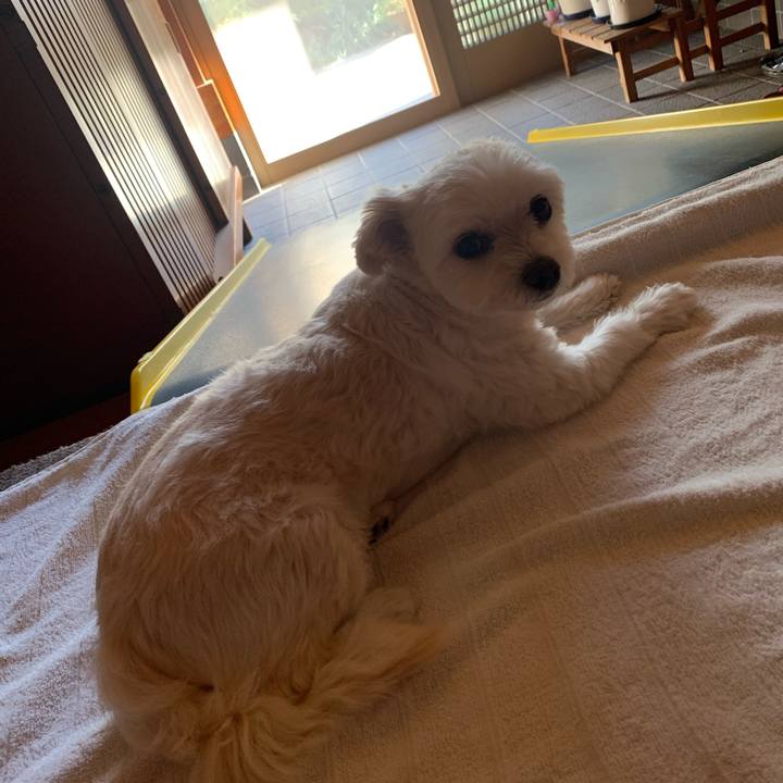 4992bd34 9b4a 49bd 918d 0269695d5152 1633506791973